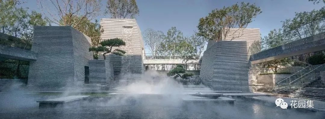 造型松,无奇不自由!气质庭院必备元素