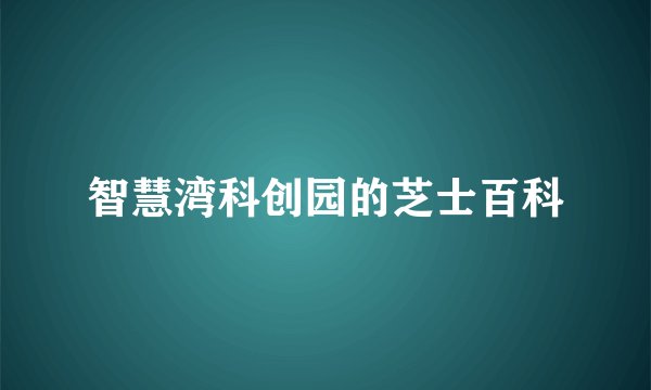智慧湾科创园的芝士百科