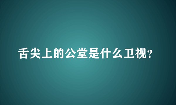 舌尖上的公堂是什么卫视？