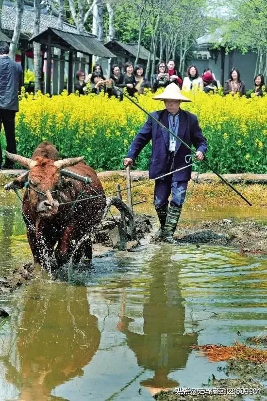 诗句“春宵一刻值千金”最初的本意是什么?是指洞房花烛夜吗?