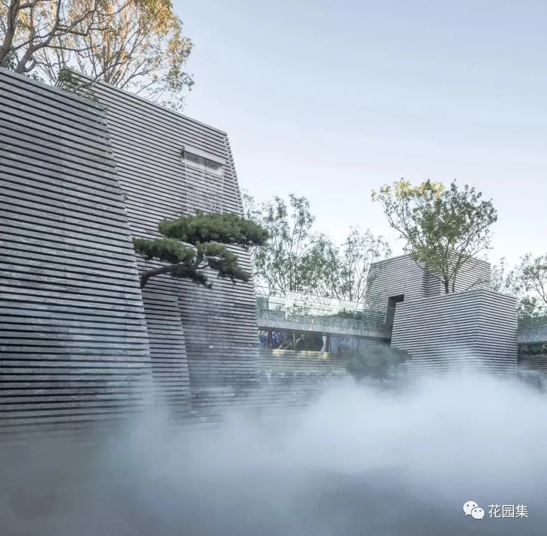 造型松,无奇不自由!气质庭院必备元素