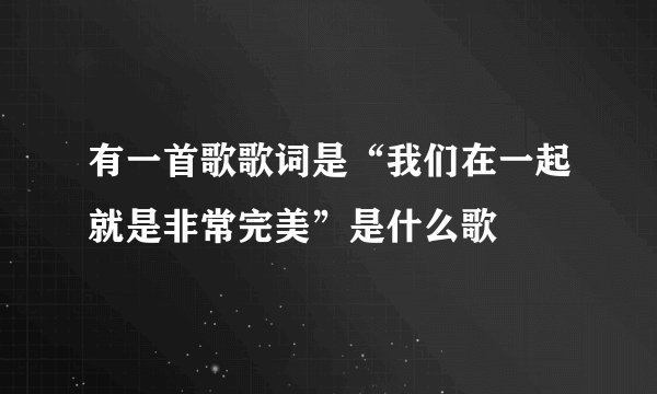 有一首歌歌词是“我们在一起就是非常完美”是什么歌
