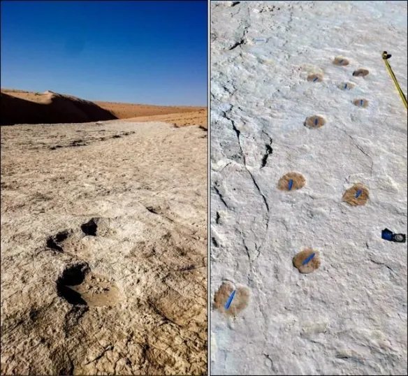 难道是史前文明？沙特发现距今12万年前的人类脚印！