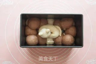 懒猫吐司