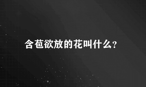 含苞欲放的花叫什么？