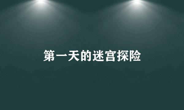 第一天的迷宫探险