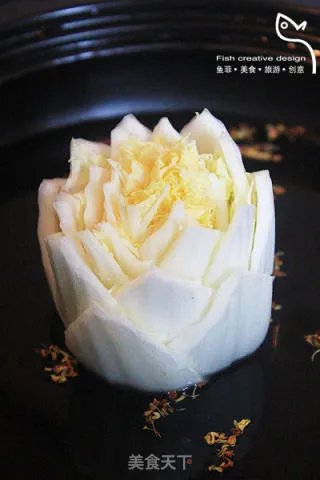 海葵静心莲