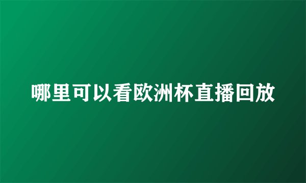 哪里可以看欧洲杯直播回放