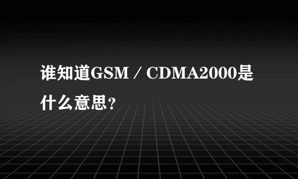 谁知道GSM／CDMA2000是什么意思？
