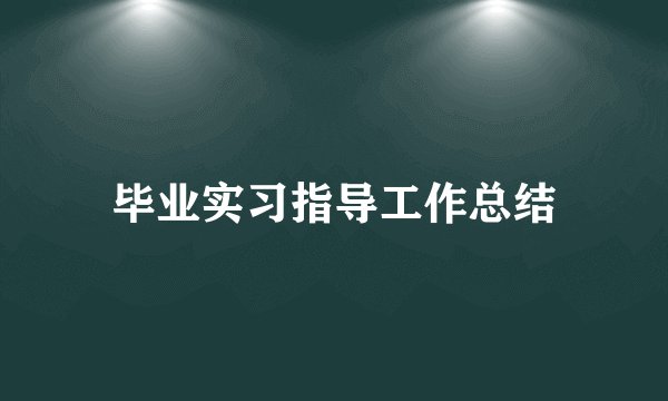 毕业实习指导工作总结