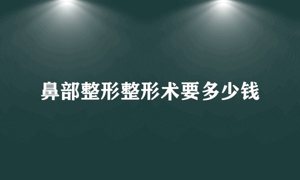 鼻部整形整形术要多少钱