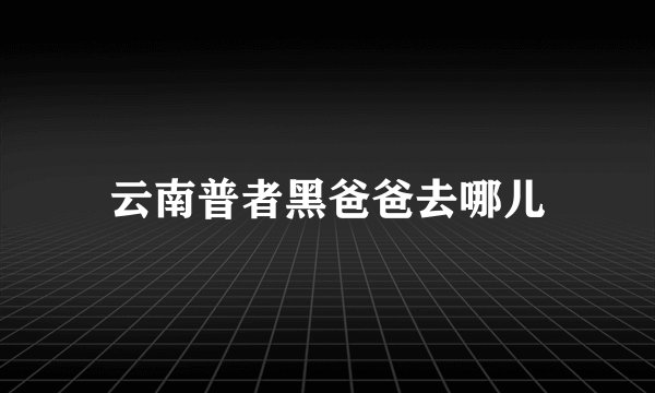 云南普者黑爸爸去哪儿