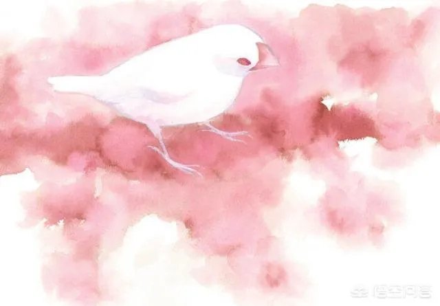 刘禹锡、白居易、元稹……唐代诗人是怎样“一唱一和”的？