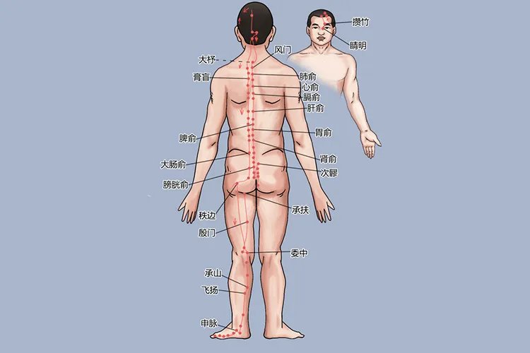 膝盖周围的经络图