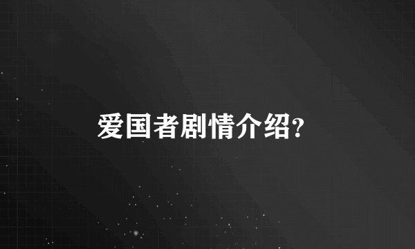 爱国者剧情介绍？