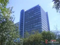 音乐对决(下)