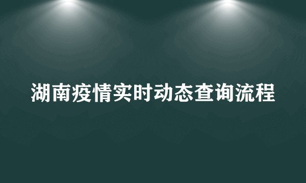 湖南疫情实时动态查询流程