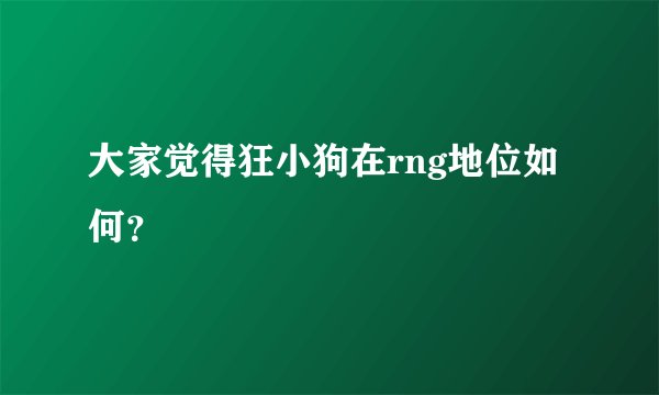 大家觉得狂小狗在rng地位如何?