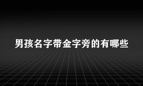 男孩名字带金字旁的有哪些