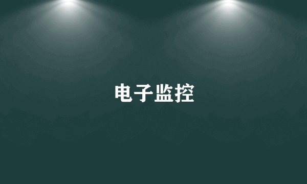电子监控