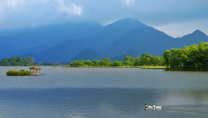 浮躁是什么意思