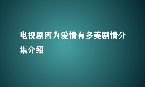 电视剧因为爱情有多美剧情分集介绍