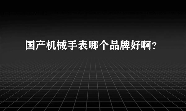 国产机械手表哪个品牌好啊？
