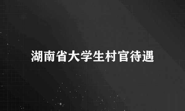 湖南省大学生村官待遇