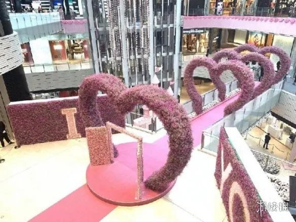何猷君将于今日向奚梦瑶求婚 99999朵玫瑰布置现场