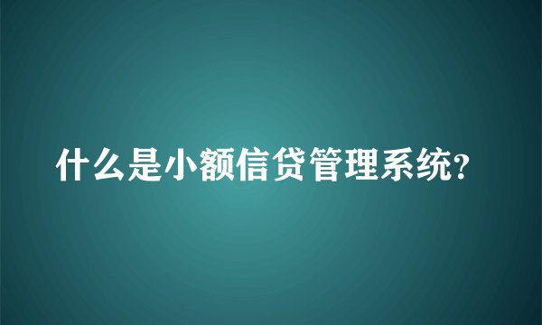 什么是小额信贷管理系统？