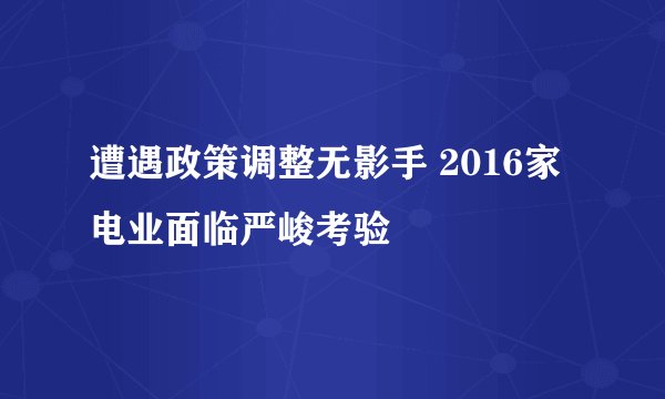 遭遇政策调整无影手 2016家电业面临严峻考验