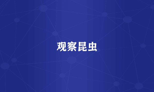 观察昆虫
