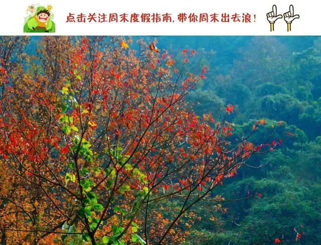 广东省从化市石门国家森林公园好玩吗?从广州市区怎么去?