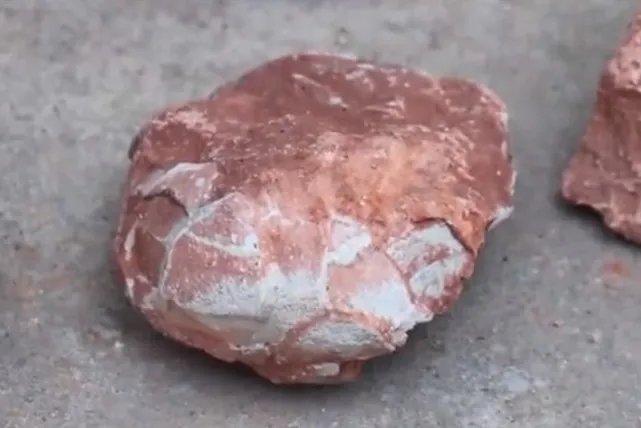 江西工地挖出6600万年前恐龙蛋化石,究竟长什么样?