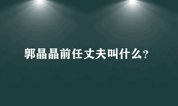 郭晶晶前任丈夫叫什么？
