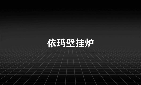 依玛壁挂炉
