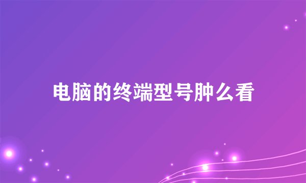 电脑的终端型号肿么看