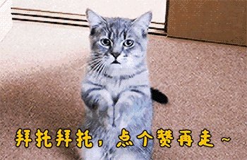 打不赢就谈判，美防长抵达阿富汗，塔利班会放下武器投降吗？