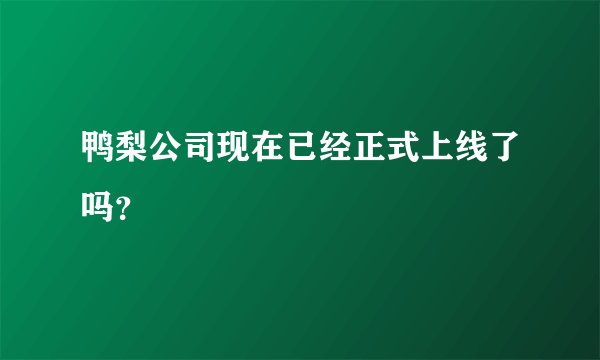 鸭梨公司现在已经正式上线了吗？