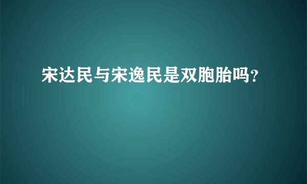 宋达民与宋逸民是双胞胎吗?