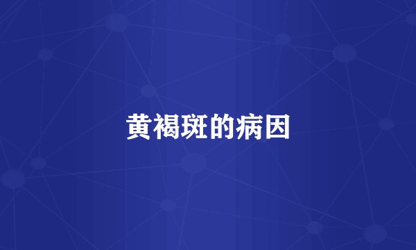黄褐斑的病因