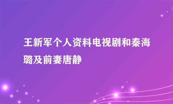 王新军个人资料电视剧和秦海璐及前妻唐静