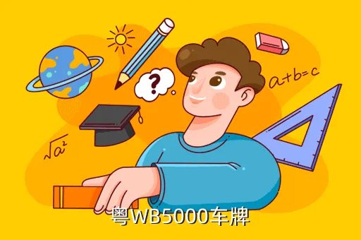 wb5000，粤WB5000车牌
