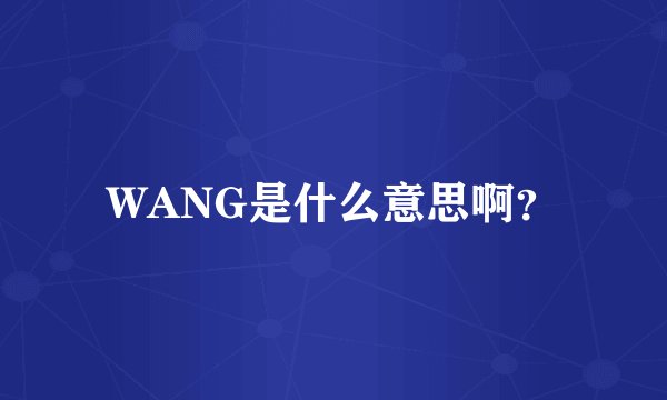 WANG是什么意思啊？