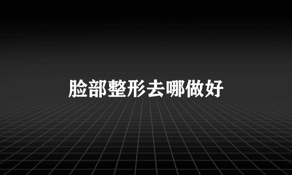 脸部整形去哪做好