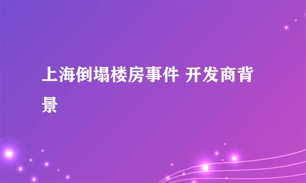 上海倒塌楼房事件 开发商背景