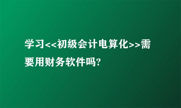 学习<<初级会计电算化>>需要用财务软件吗?