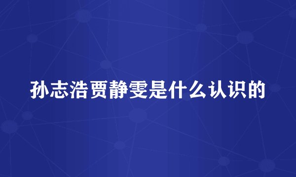 孙志浩贾静雯是什么认识的