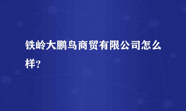 铁岭大鹏鸟商贸有限公司怎么样?