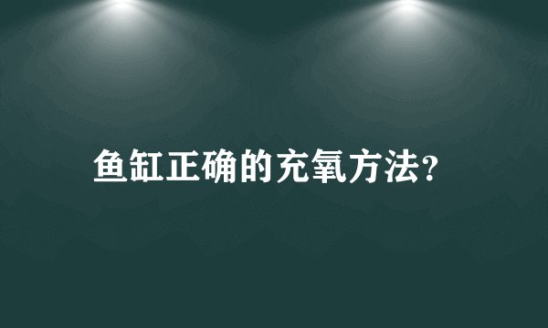 鱼缸正确的充氧方法?